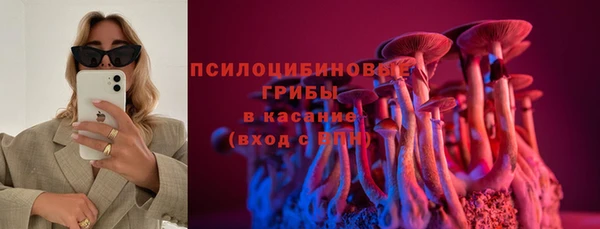 тгк Абинск