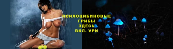 тгк Абинск