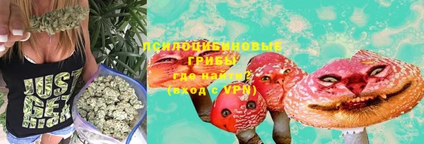 тгк Абинск