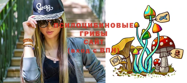 ГАЛЛЮЦИНОГЕННЫЕ ГРИБЫ Абдулино