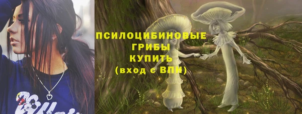 тгк Абинск
