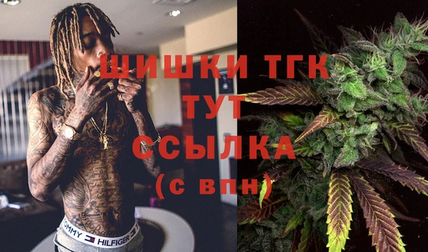 тгк Абинск