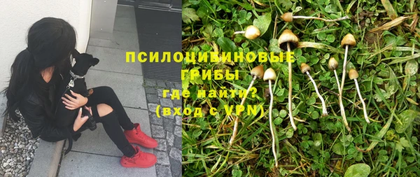 тгк Абинск