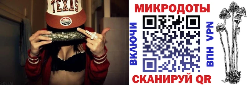 Галлюциногенные грибы Psilocybe  Инта 
