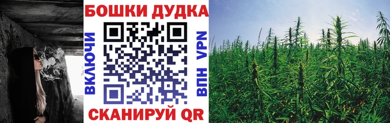 Марихуана White Widow  кракен   Инта  где найти наркотики 